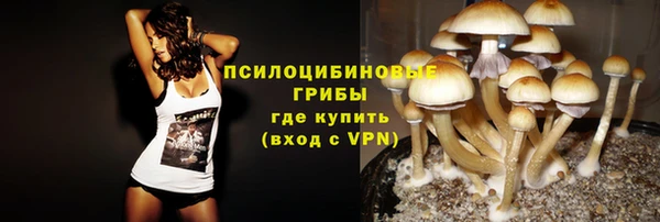 винт Белокуриха