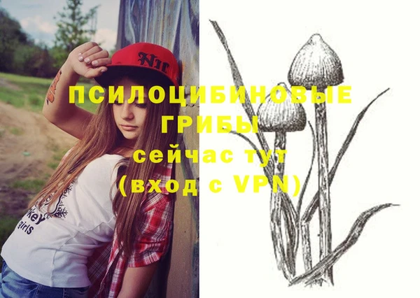 винт Белокуриха