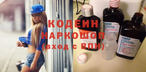 индика Богородск