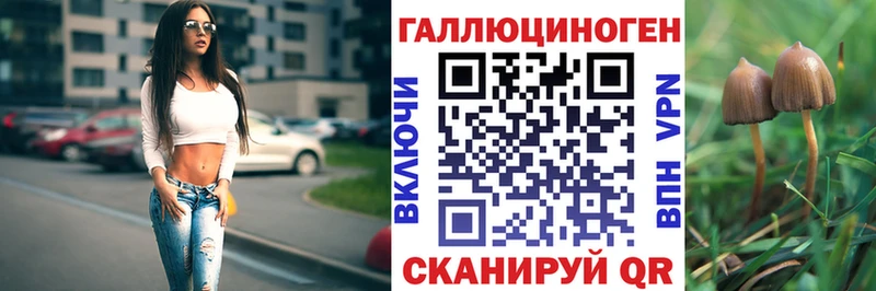 Псилоцибиновые грибы мицелий Дно