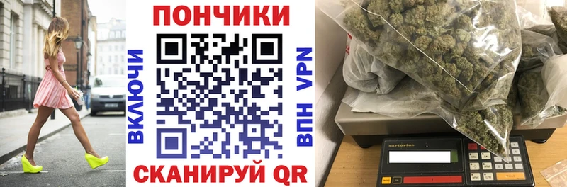 Каннабис семена  Дно 